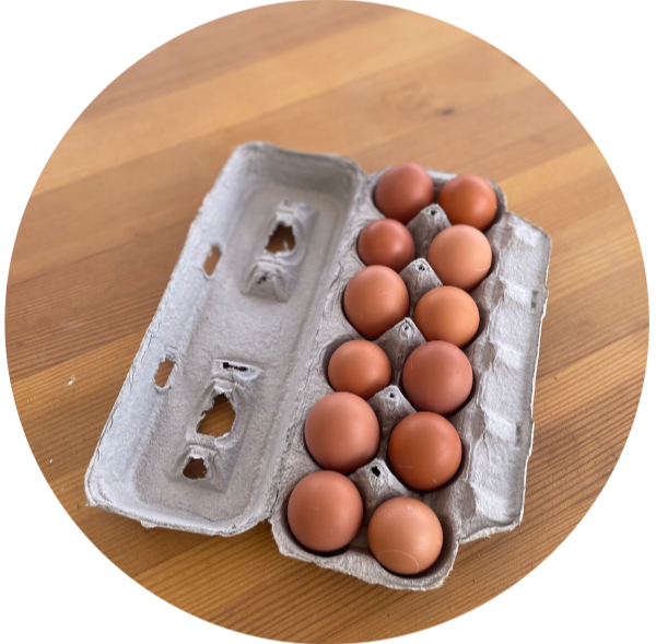 egg_circle.png