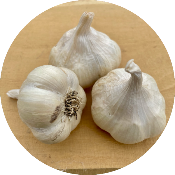 garlic_circle.png
